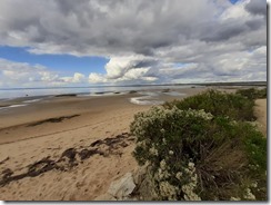 Bassin d'Arcachon