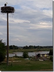 20190817_163203
