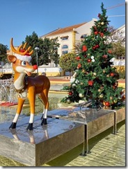 20211218_101321 (Small)