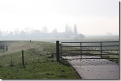 IMG_0602