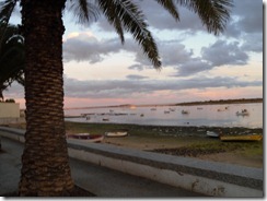SAM_1186