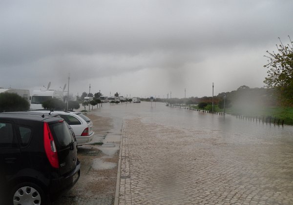 Manta Rota